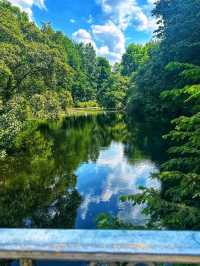 Tiergarten – Berlin’s Iconic Green Escape