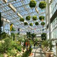 Korea | Suwon Yeongheung Arboretum – A Green Escape