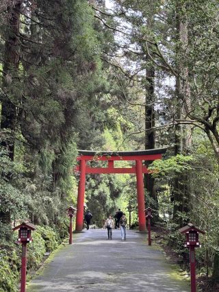 Make the most of your Hakone Free Pass