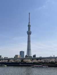 🗼【押上 東京スカイツリー】空まで届きそうな絶景と、下町の旅時間を。