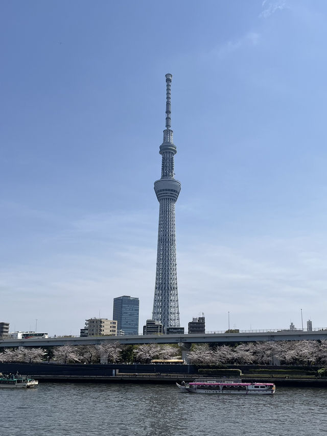 🗼【押上 東京スカイツリー】空まで届きそうな絶景と、下町の旅時間を。