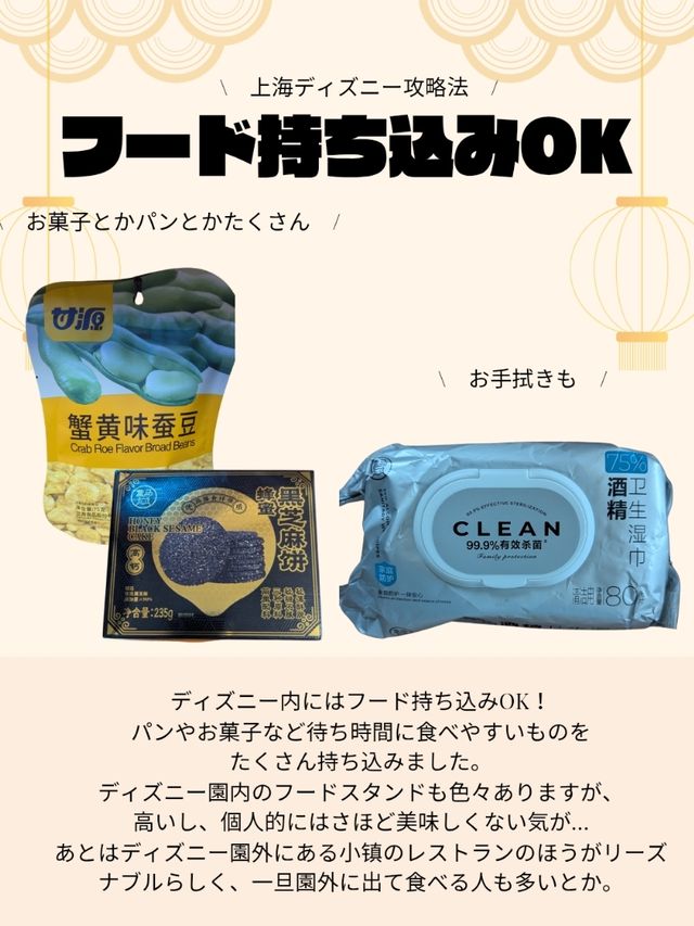 🇨🇳子どもと行く！上海ディズニー攻略法