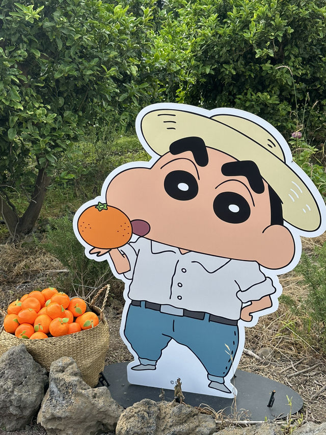 짱구 in JEJU🍊