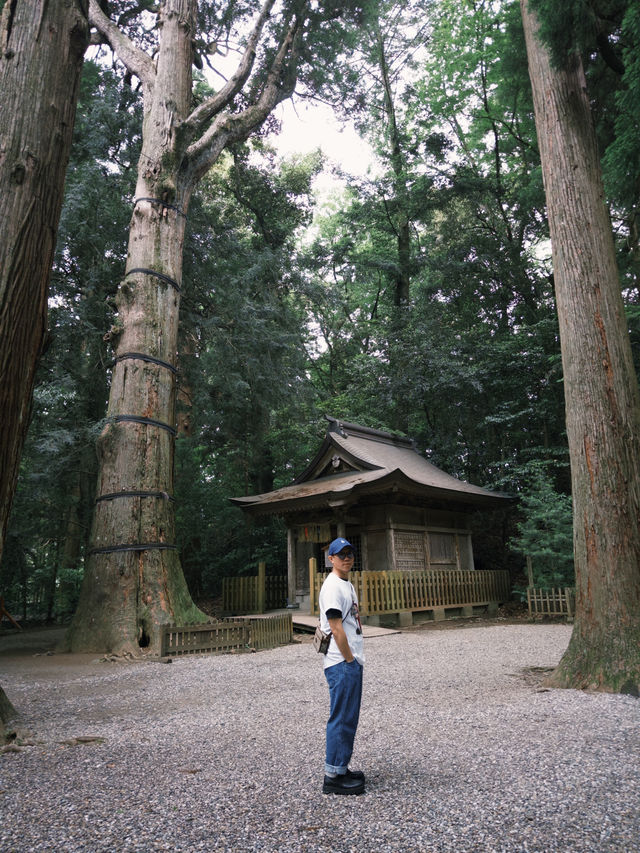 高千穗一日遊
