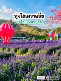 ทุ่งไฮเดรนเยีย เขาค้อ