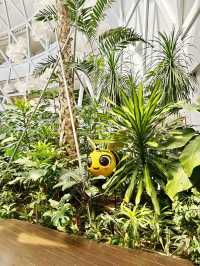 Mario Kart Adventure at Jewel Changi Airport!