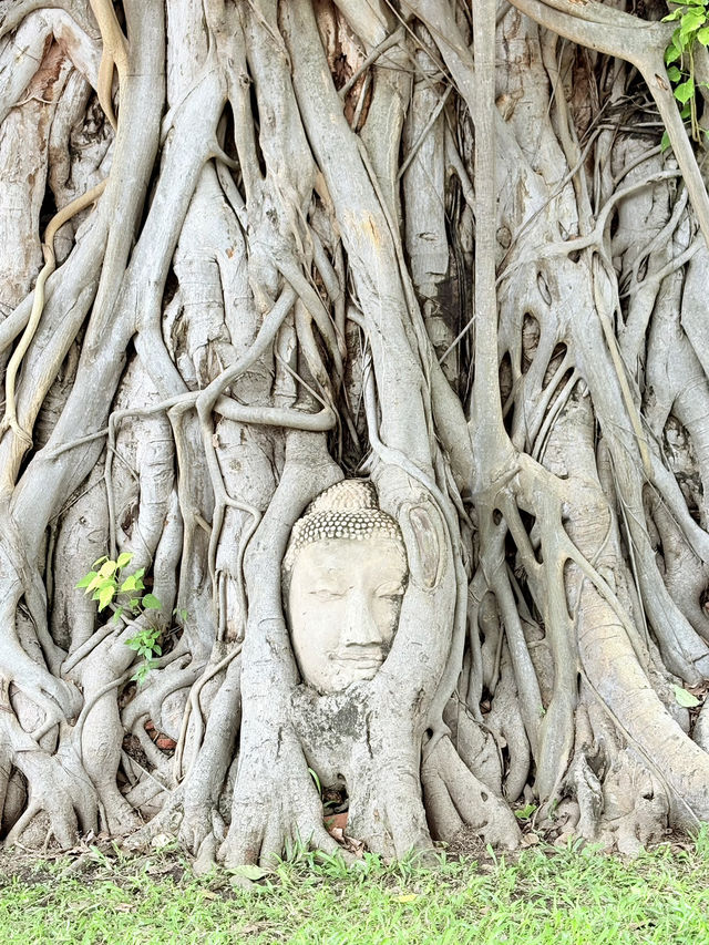 🇹🇭バンコクひとり旅｜王宮も遺跡も買い物もぜんぶ満喫！