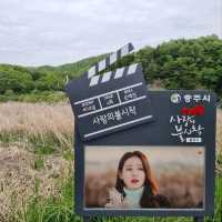 Chungju Forest & Hot Spring Feels