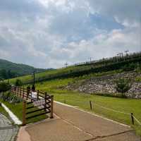 Exploring Gumi: A Chill Day in Korea’s Underrated City
