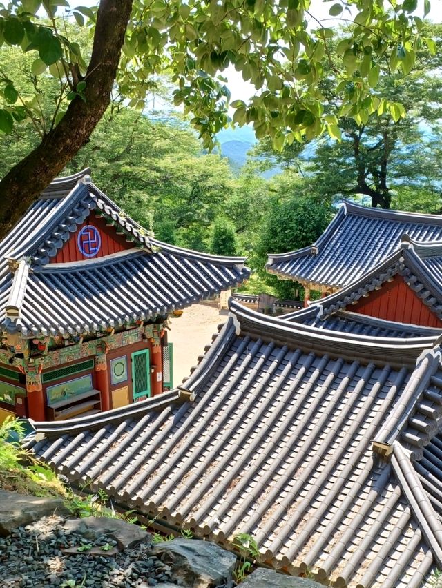 힐링+산책+감성사진까지 가능!
