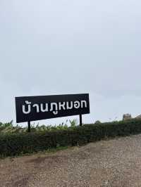 บ้านภูหมอก ยอดดอยม่อนแจ่ม