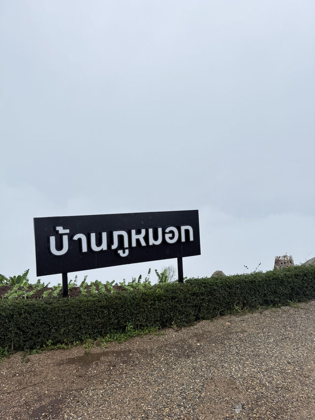 บ้านภูหมอก ยอดดอยม่อนแจ่ม
