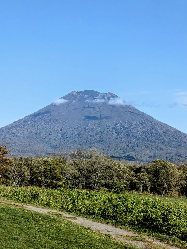 🎯【北海道・ニセコ＆羊蹄山】“蝦夷富士”を見上げる、冬も夏も楽しめる高原旅 