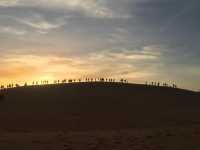 ทะเลทรายแดง (Red sand dunes)