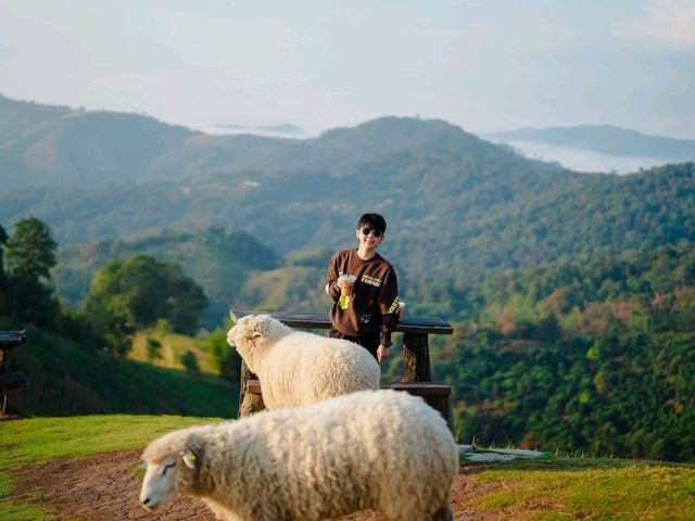 เที่ยวดอยช้าง AKHA FARMVILLE อาข่า ฟาร์มวิลล์