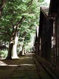 🎯【山形・山居倉庫】歴史が息づく、港町・酒田のレトロ倉庫群