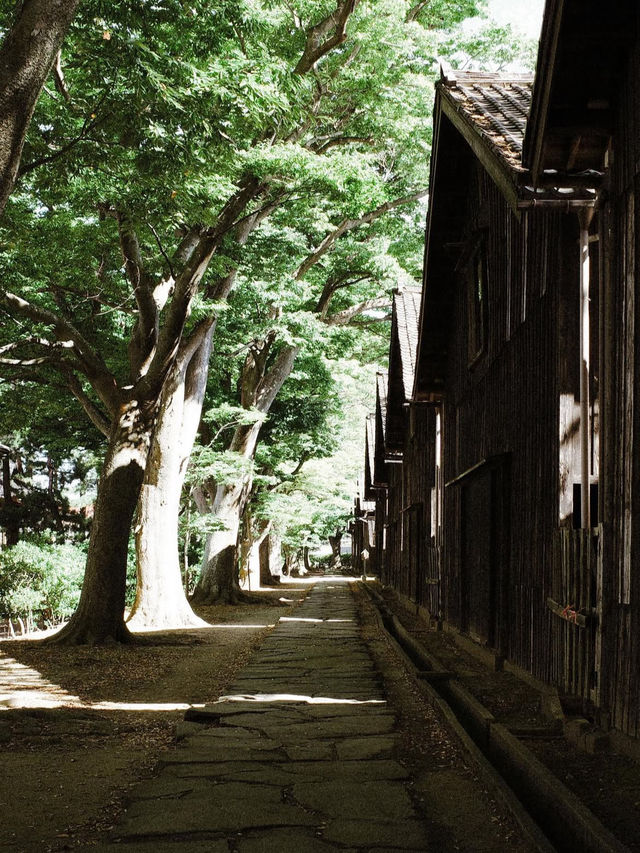 🎯【山形・山居倉庫】歴史が息づく、港町・酒田のレトロ倉庫群