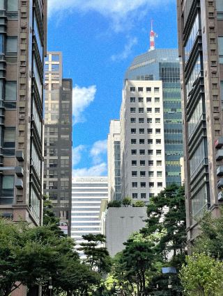 🍃 오목교에서의 하루, 조용하고 감각적인 데이트 코스 🛍️
