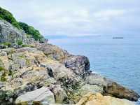 Odong Island: A Serene Coastal Escape Just Steps from Yeosu