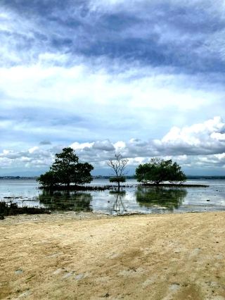 Exploring the Enchanting Beauty of Samal Island, Davao