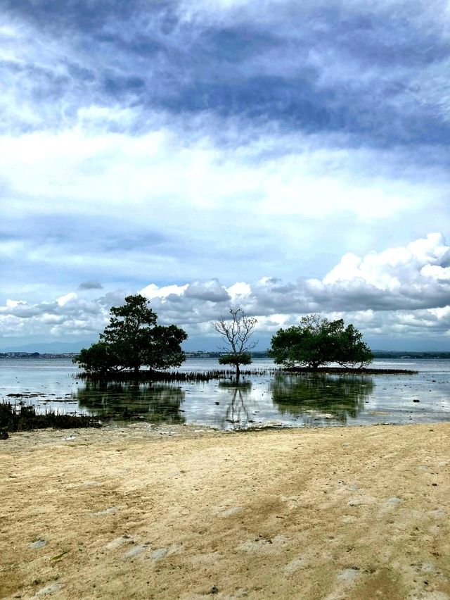 Exploring the Enchanting Beauty of Samal Island, Davao