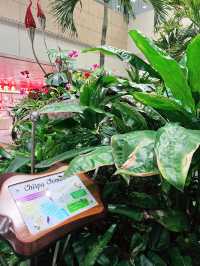 “Amazed by the Enchanted Garden at T2”