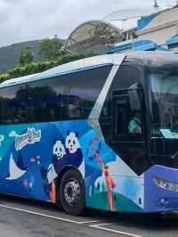 💦🌴 Dive into the Fun! | Ocean Park Water World Hong Kong 🇭🇰☀️