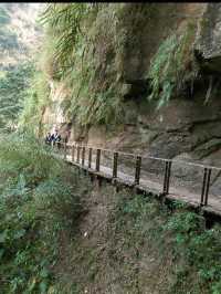 🌲嘉義梅山秘境｜竹坑溪步道：瀑布、吊橋、水濂洞，一次滿足森林系的冒險魂！