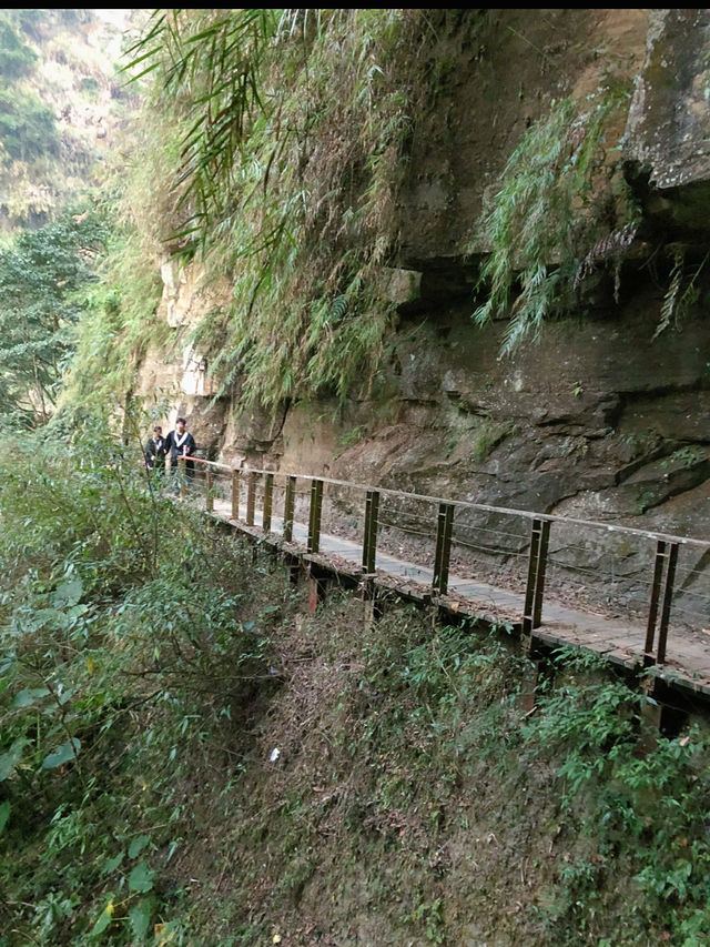 🌲嘉義梅山秘境｜竹坑溪步道：瀑布、吊橋、水濂洞，一次滿足森林系的冒險魂！