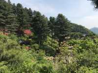 🌿 Garden of Morning Calm กาพยอง