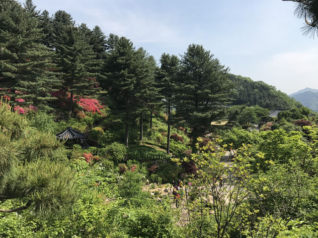 🌿 Garden of Morning Calm กาพยอง