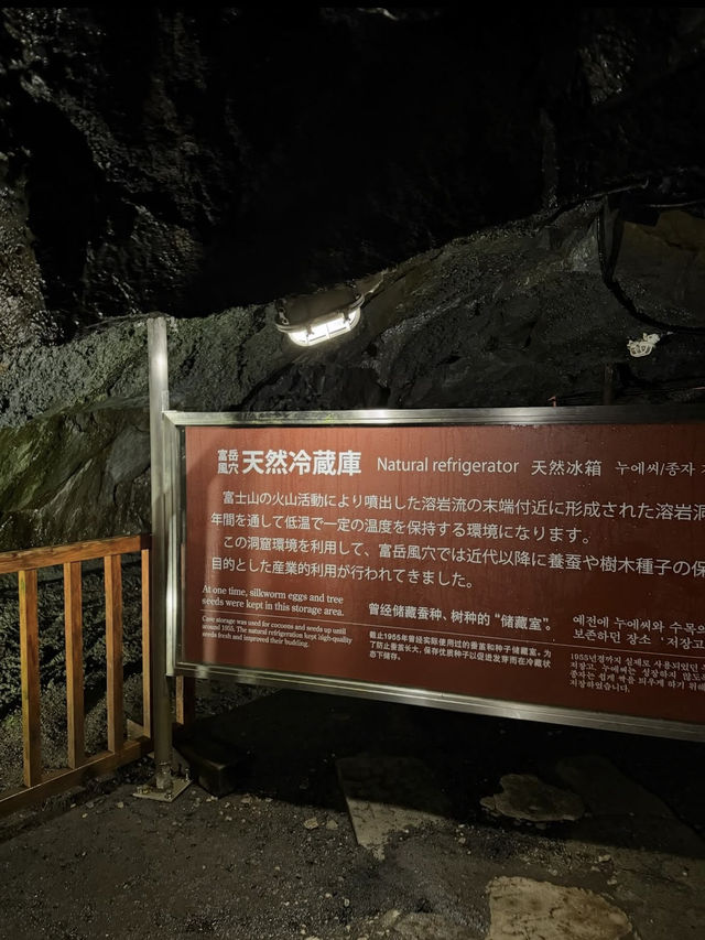 ❄️夏でもひんやり！神秘の洞窟・富岳風穴で非日常体験🌋