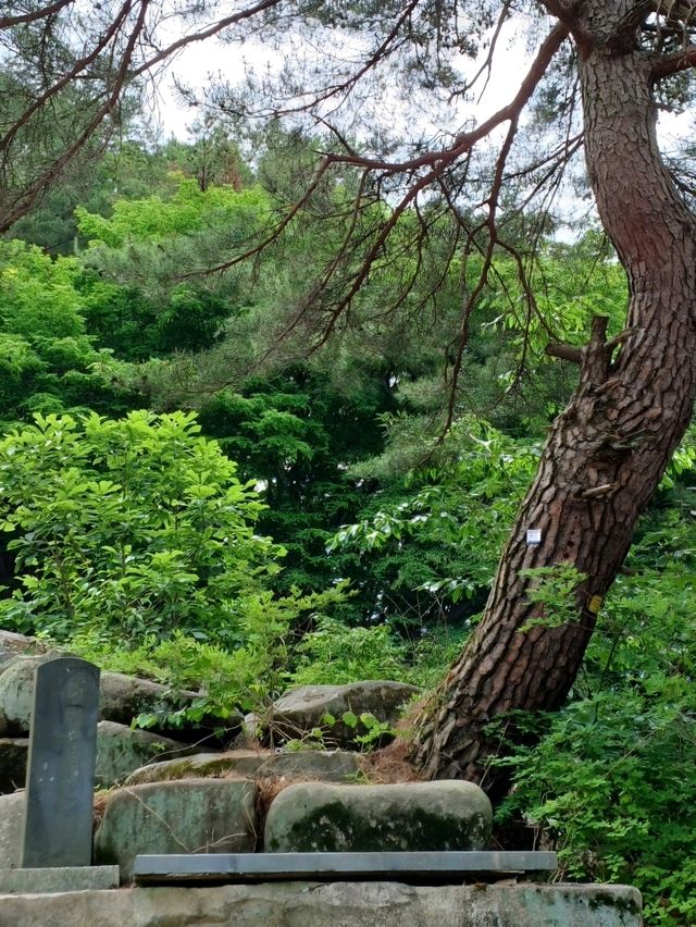 사색의 시간을 위한 고요한 절경