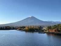 富士山。天空鳥居。楓葉