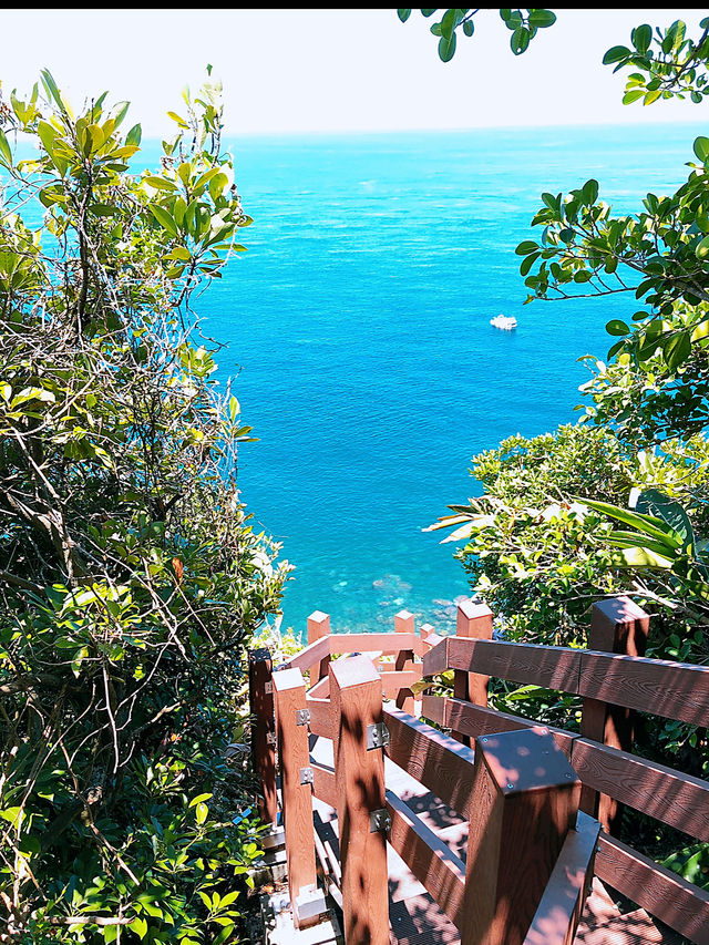🌊 海上綠寶石的奇遇｜走一趟夏日限定的基隆嶼登島之旅