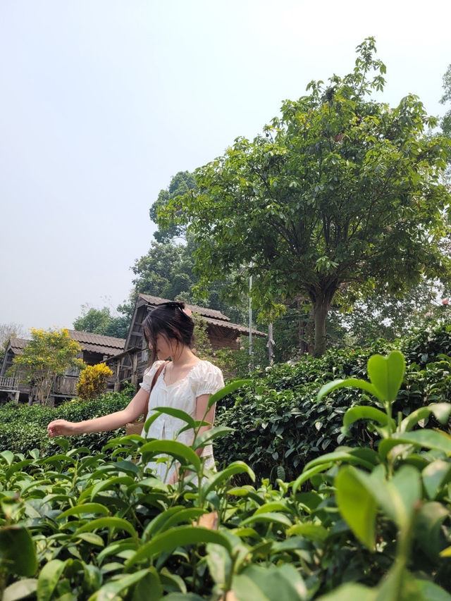 เที่ยวเชียงใหม่ 2วัน 1คืนแบบชิลๆ🏞️