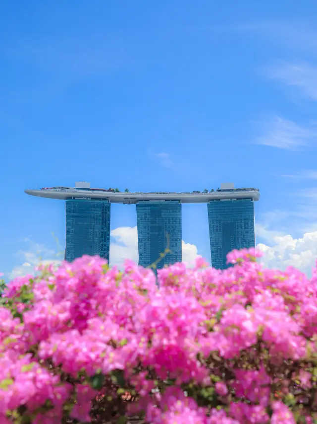 【สิงคโปร์】ท่องเที่ยวจุดเด่นและจุดลับใน 1 วัน