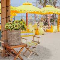 คาเฟ่ริมทะเลที่มีมากกว่าความชิล! 🏖️🍹