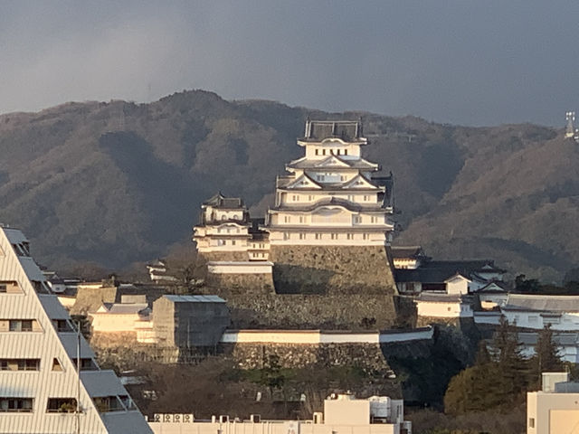 🏯 Convenient Comfort with a Castle View – Daiwa Roynet Hotel Himeji
