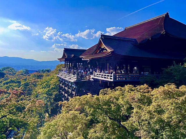 โอซาก้า🇯🇵