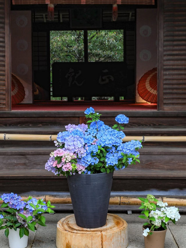 【静寂と縁結びの聖地⛩️尾高観音で心を整える癒し旅】