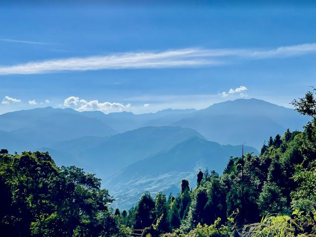 鵝公髻山步道看幸福雲海去