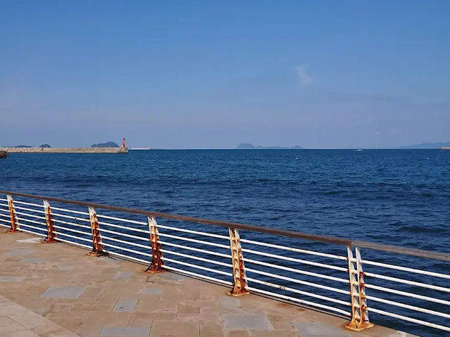 【海と緑のふれあい空間🌞】ひびき海の公園でのんびり海辺さんぽ