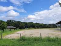 【里山で深呼吸🌿】かなたけの里公園で自然とふれあう休日を