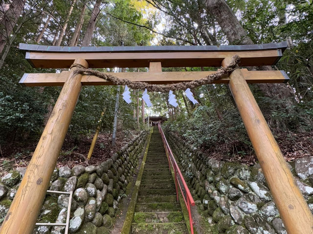 My Izu Mid-Coast Hike with the Tokai Bus 3-Day Pass! 🚶‍♀️♨️