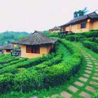 ⛰️ ลีไวน์รักไทย แม่ฮ่องสอน