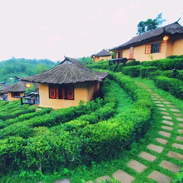 ⛰️ ลีไวน์รักไทย แม่ฮ่องสอน
