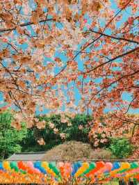 Flower Park at Munsu Temple