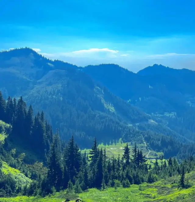 Hidden Paradise ~ A Secret Haven ~