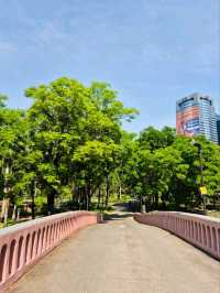🌳 : Chatuchak Park สวนจตุจักร กรุงเทพมหานคร